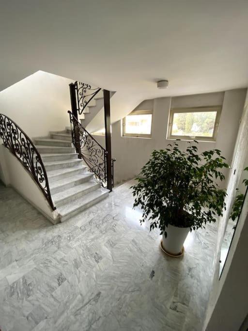 Logement Cosy, Situe Entre Ciel Et Mer Vence Ngoại thất bức ảnh